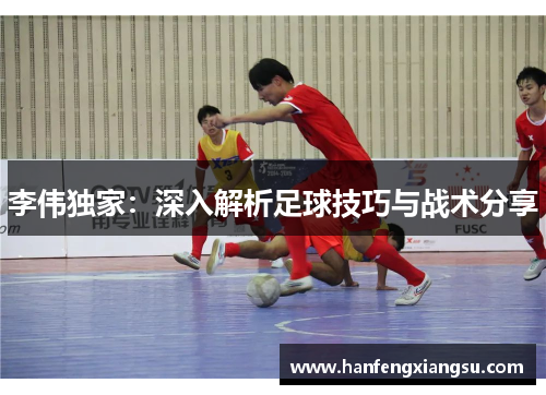 李伟独家：深入解析足球技巧与战术分享