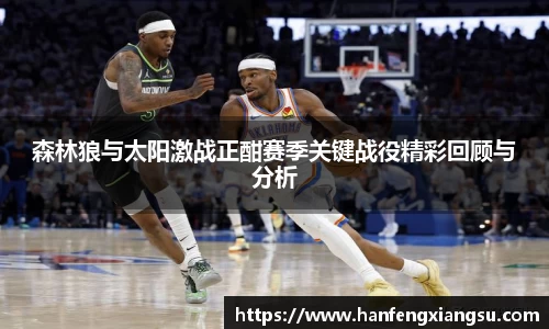 zoty中欧森林狼与太阳激战正酣赛季关键战役精彩回顾与分析